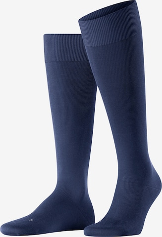 FALKE Kniestrümpfe 'Energizing Cotton' in Blau: Vorderseite