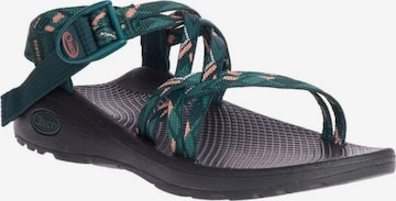 Chaco Sandaalit 'WOMENS ZX/1 DUAL' värissä vihreä: etupuoli