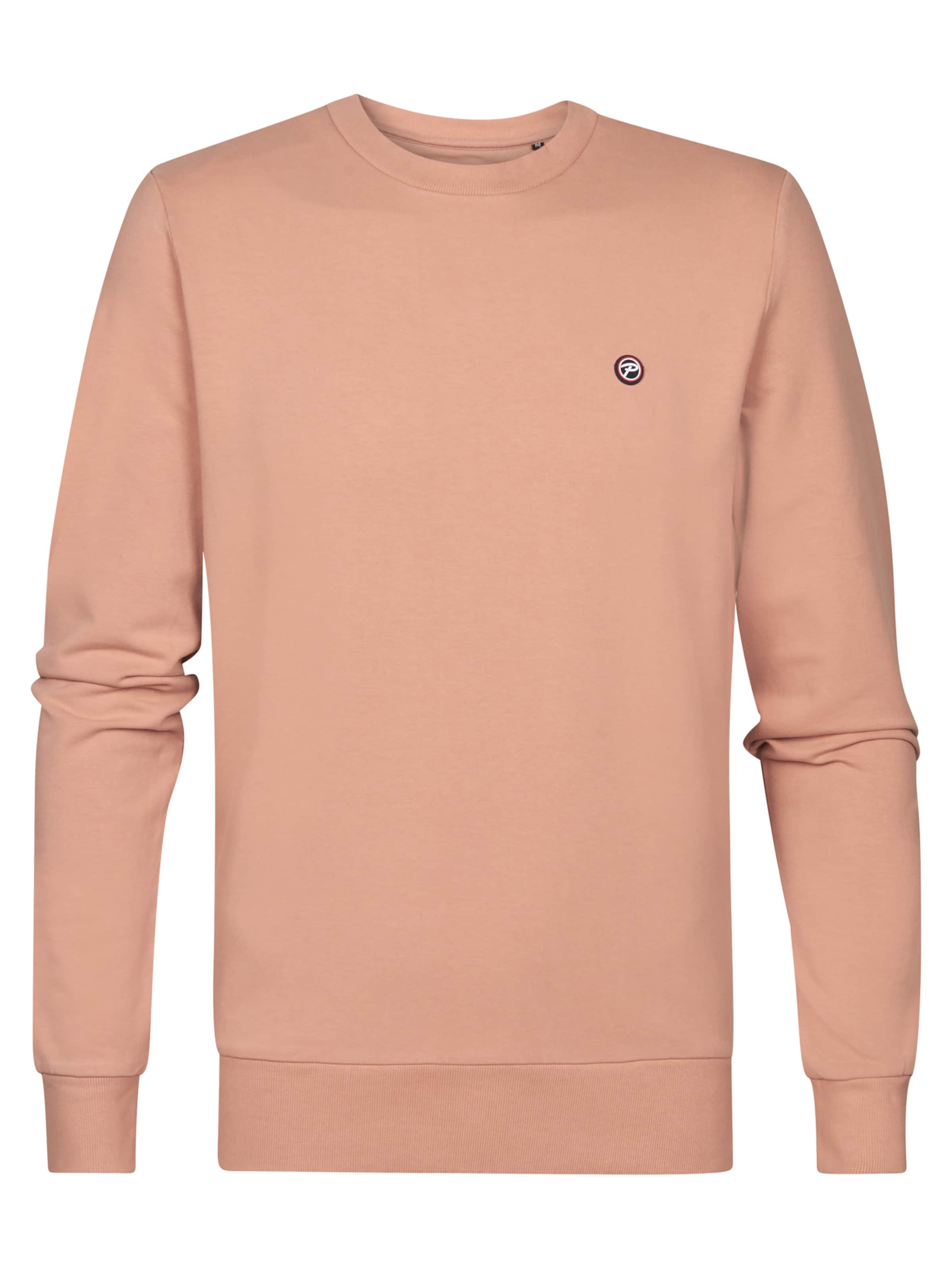 Sweat-shirt 'Seaviewpark' Petrol Industries en marron : devant