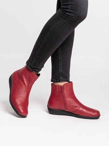 VITAFORM Ankle Boots in Rot: predná strana