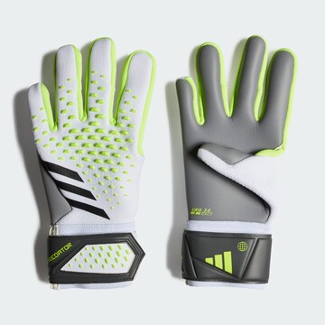 ADIDAS PERFORMANCE Athletic Gloves 'Predator League' in Grey