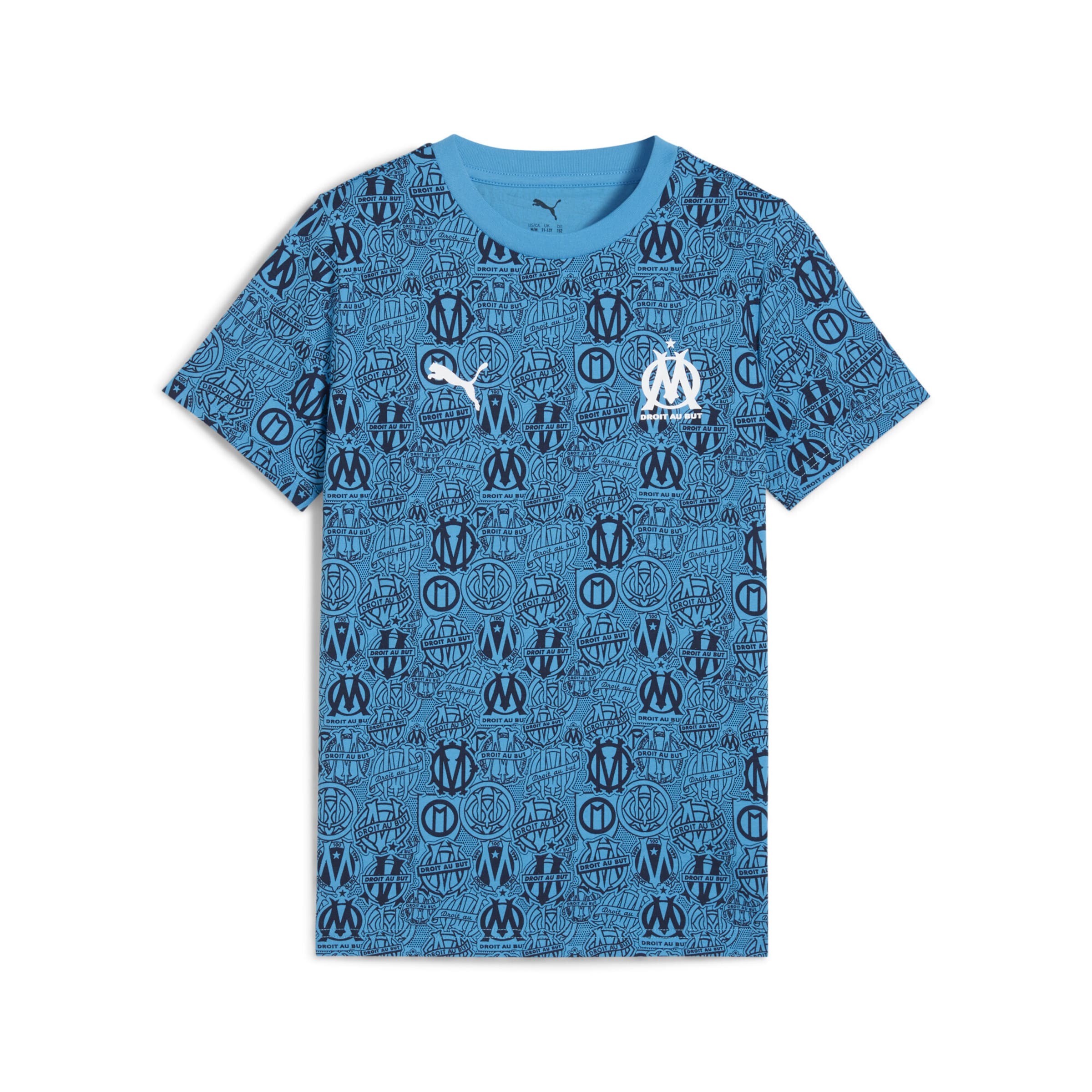 PUMA Performance Shirt in Blue: front