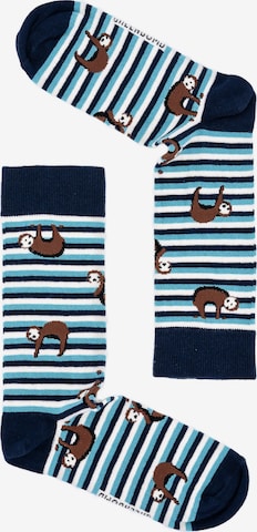 GREENBOMB Socks 'Animal Sloth' in Blue: front