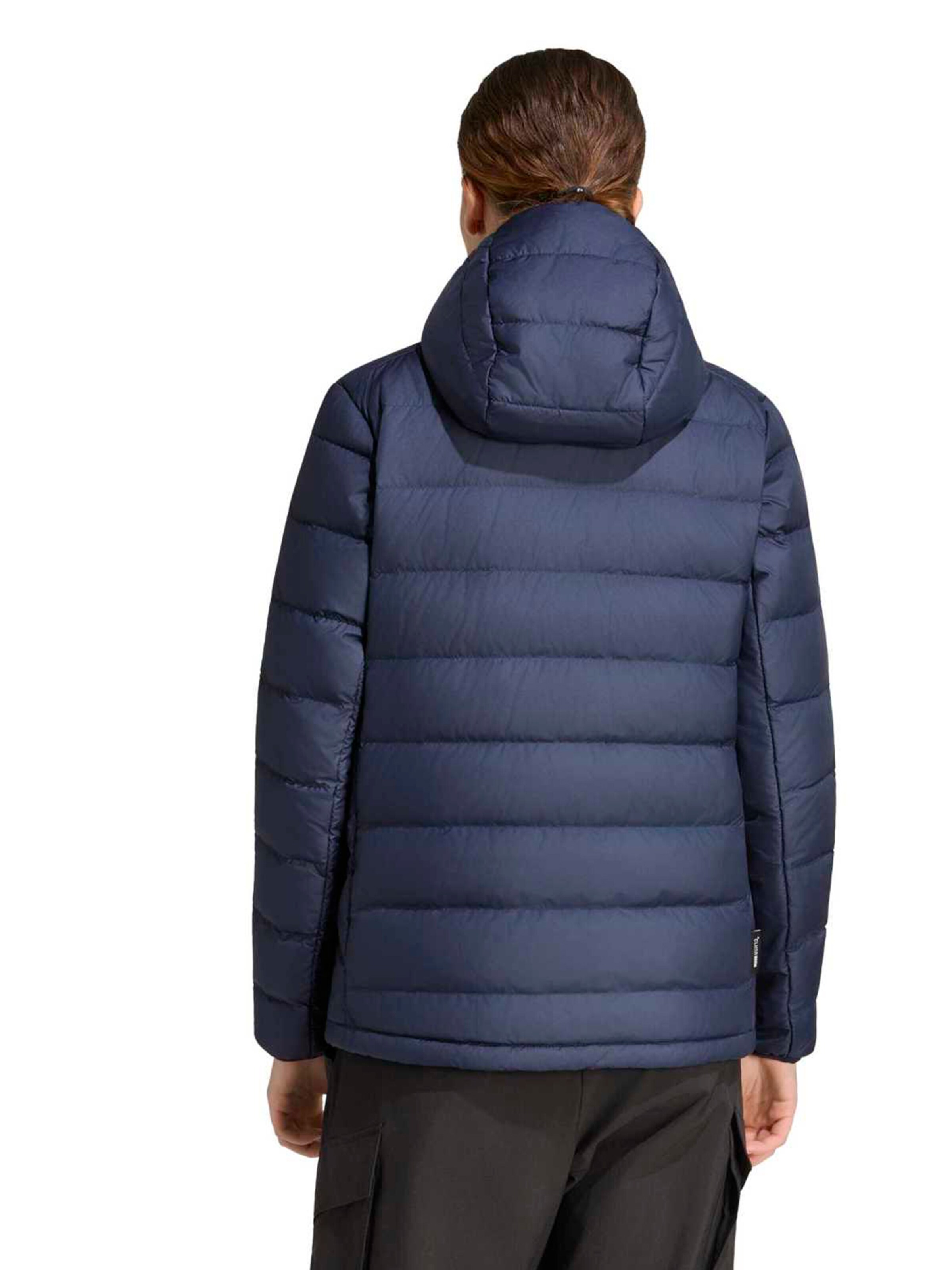 ADIDAS TERREX Outdoorjas 'Multi' in Blauw