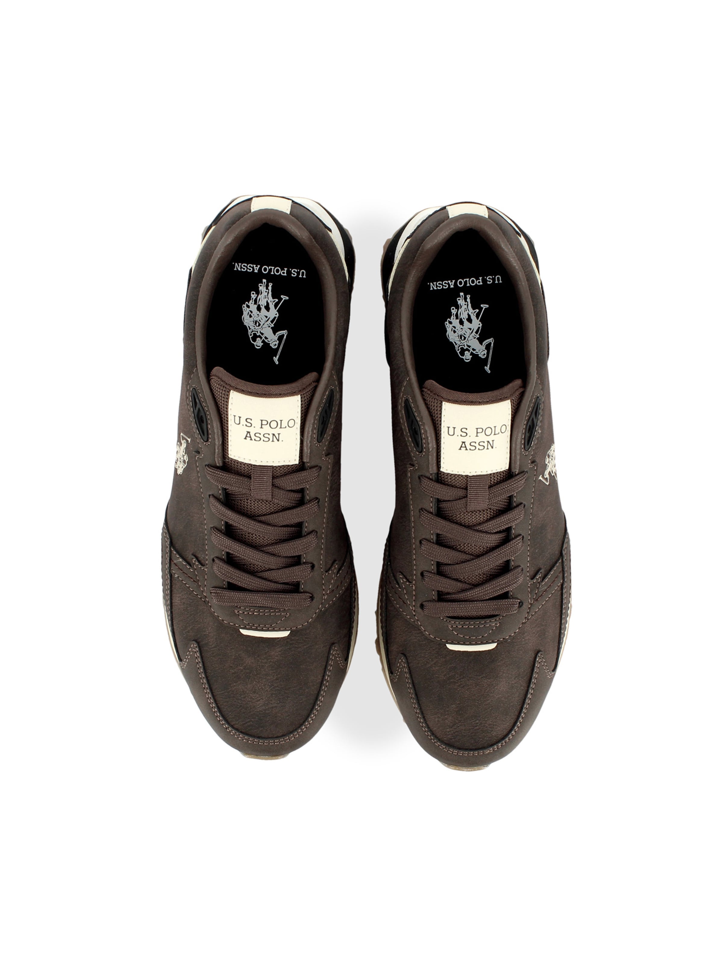 Baskets basses 'April' US POLO ASSN. en marron