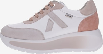 Sneaker bassa 'Sneakers Callaghan' di Callaghan in bianco: frontale