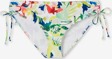 SCHIESSER Bikini Bottoms 'Aqua Mix & Match Nautical' in Mixed colors: front