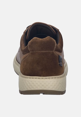 JOSEF SEIBEL Sneakers hoog 'CLAYTON 01' in Bruin