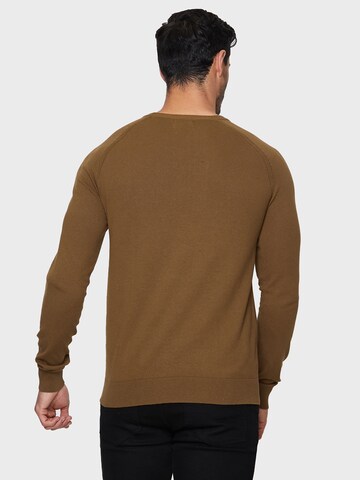 Threadbare Sweater 'Maned' in Brown