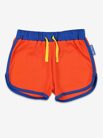 Toby Tiger Regular Pants in Orange: front