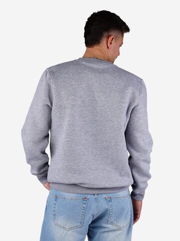 Picaldi Sweatshirt 'P-Label' in Grey