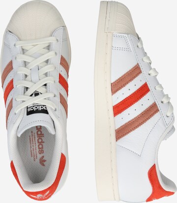 ADIDAS ORIGINALS - Sapatilhas baixas 'Superstar' em branco