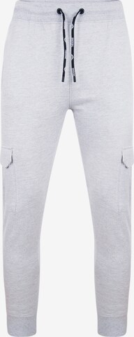 Threadbare Tapered Cargo Pants 'Stefan' in Grey: front