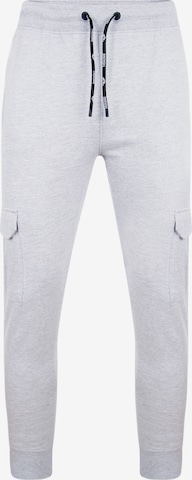 Effilé Pantalon cargo 'Stefan' Threadbare en gris : devant