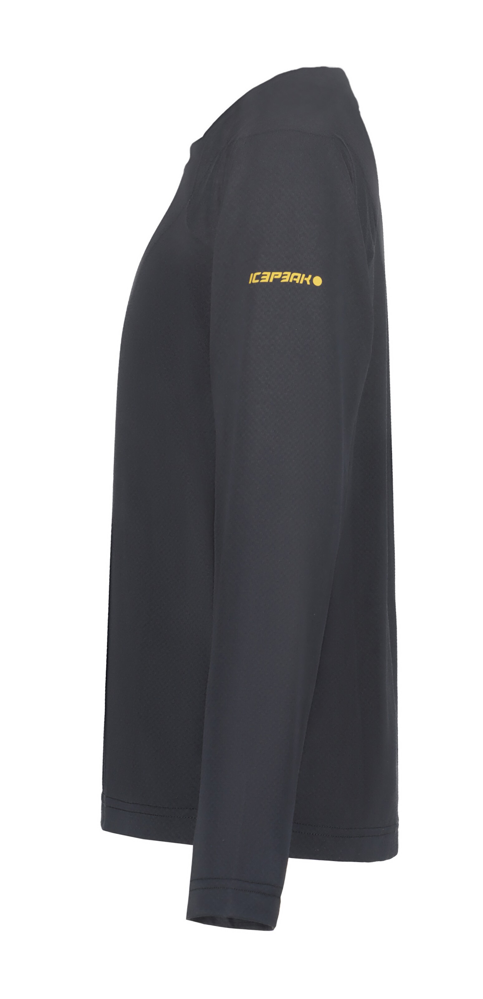 ICEPEAK Funktionsshirt 'Kershaw' in Grau