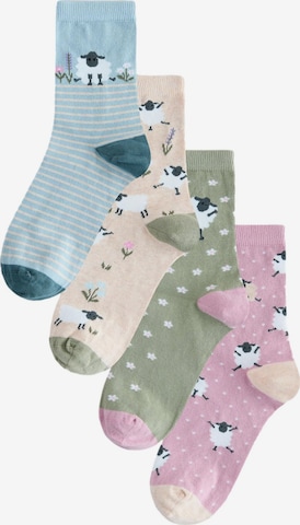 Next Socken in Beige: Vorderseite