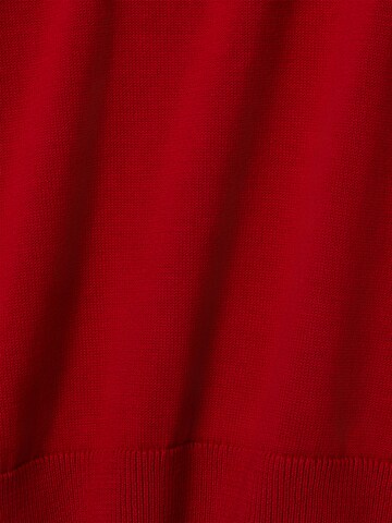Nils Sundström Pullover in Rot