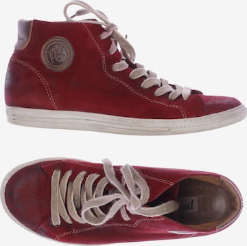 Paul Green Sneaker 37 in Rot: predná strana
