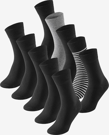 SCHIESSER - Calcetines ' Cotton Fit ' en gris: frente