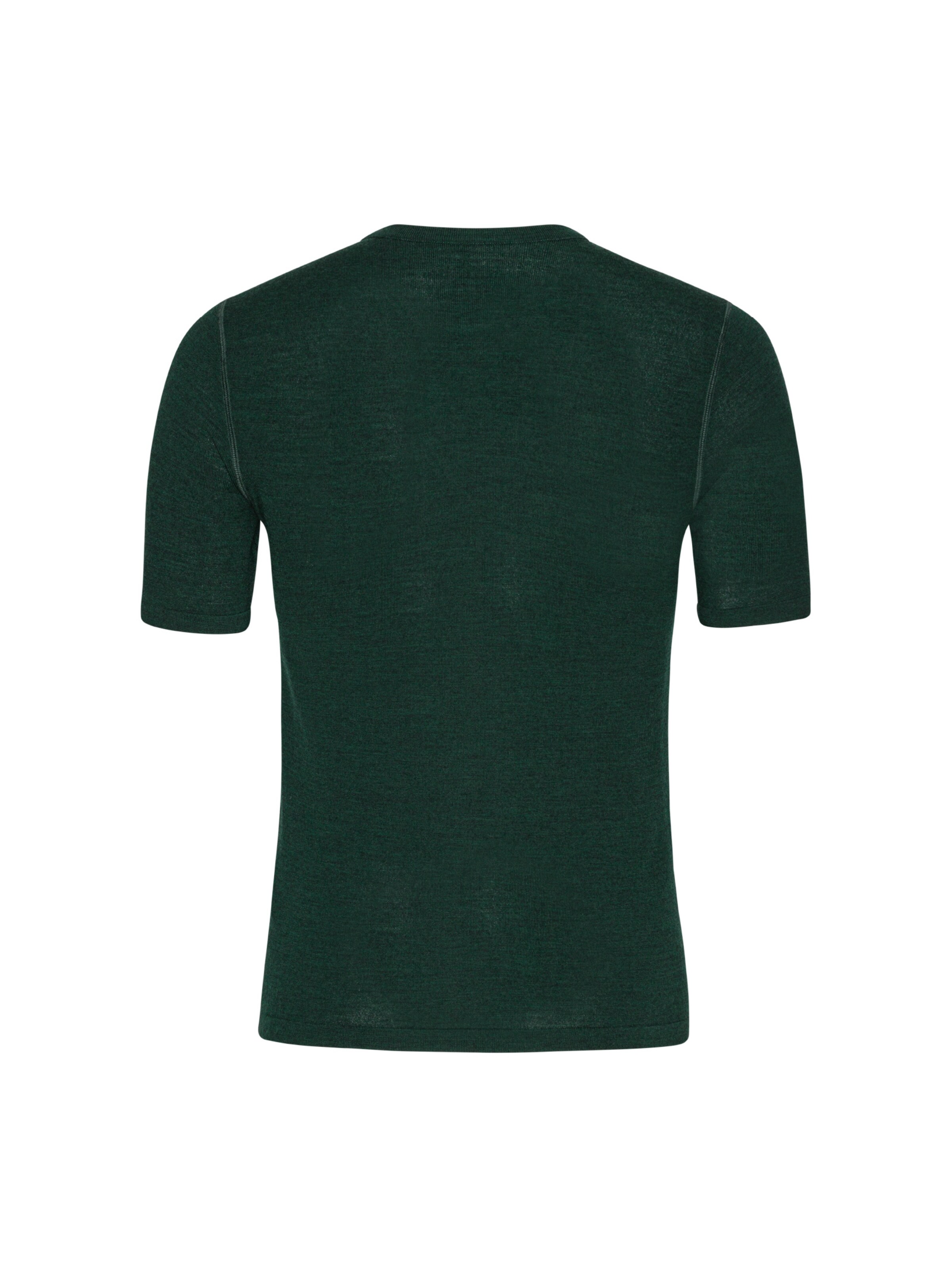 DANISH ENDURANCE Bluser & t-shirts 'Merino' i grøn