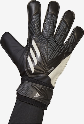 ADIDAS SPORTSWEAR Sportovní rukavice 'Predator Goalkeeper' – černá