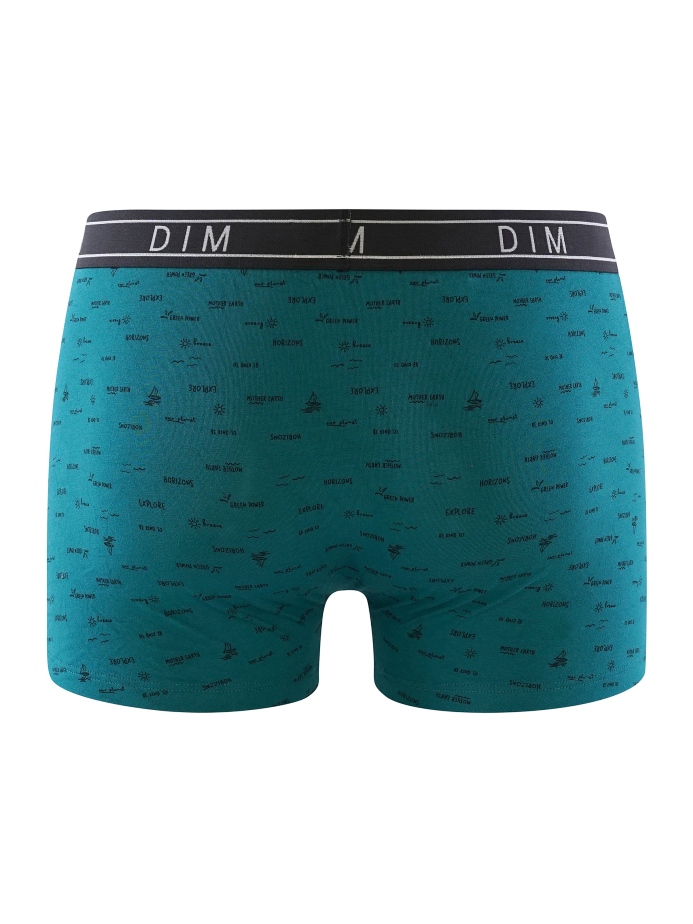 DIM Boxer shorts 'Fancy' in Green
