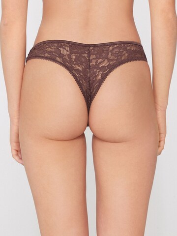Tezenis Panty 'PERFECT ARMONY' in Brown