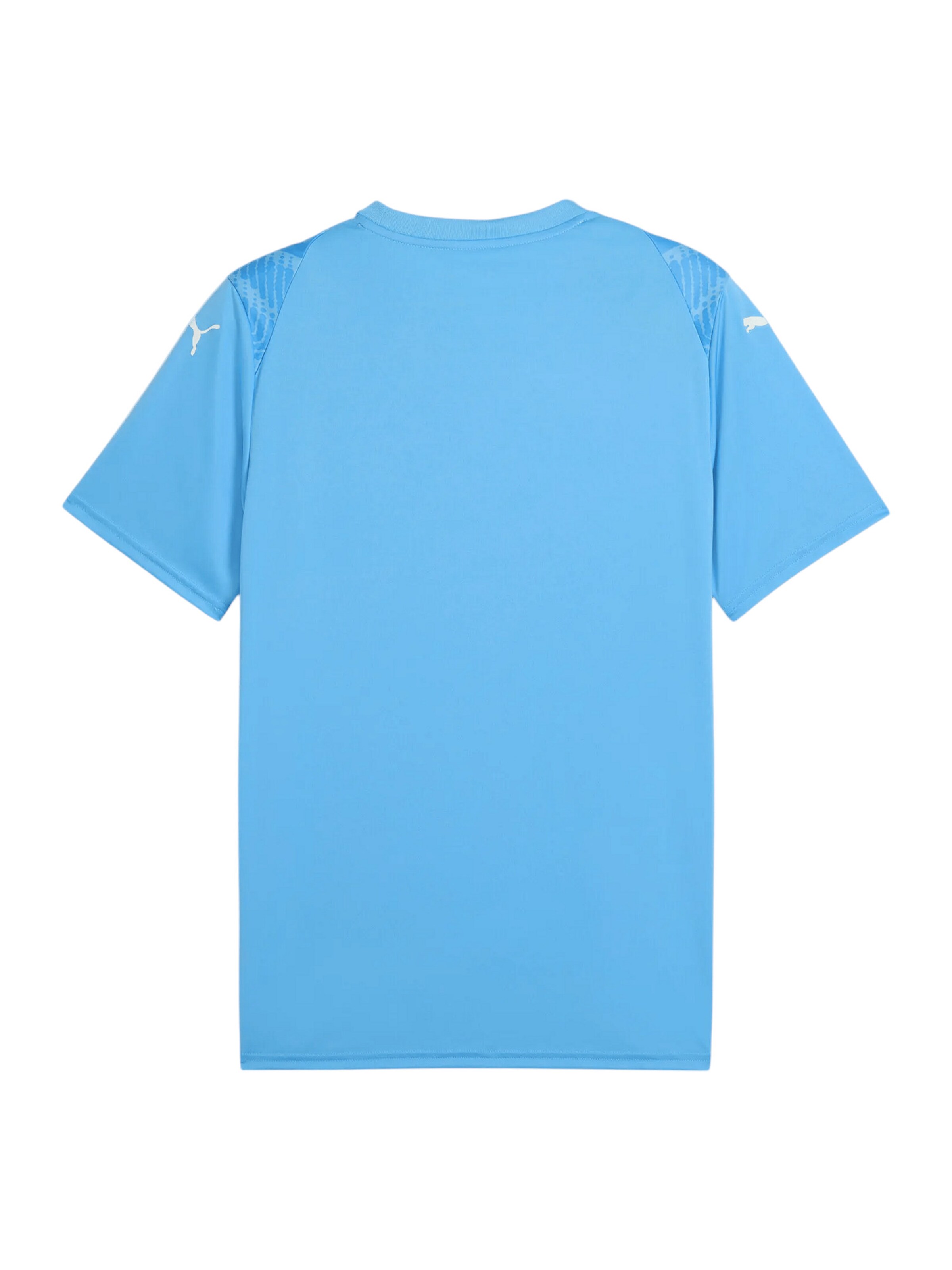 PUMA Λειτουργικό μπλουζάκι 'Team Ultimate' σε μπλε