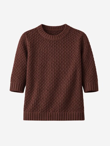 Il Lanificio Pullover‌ in Braun