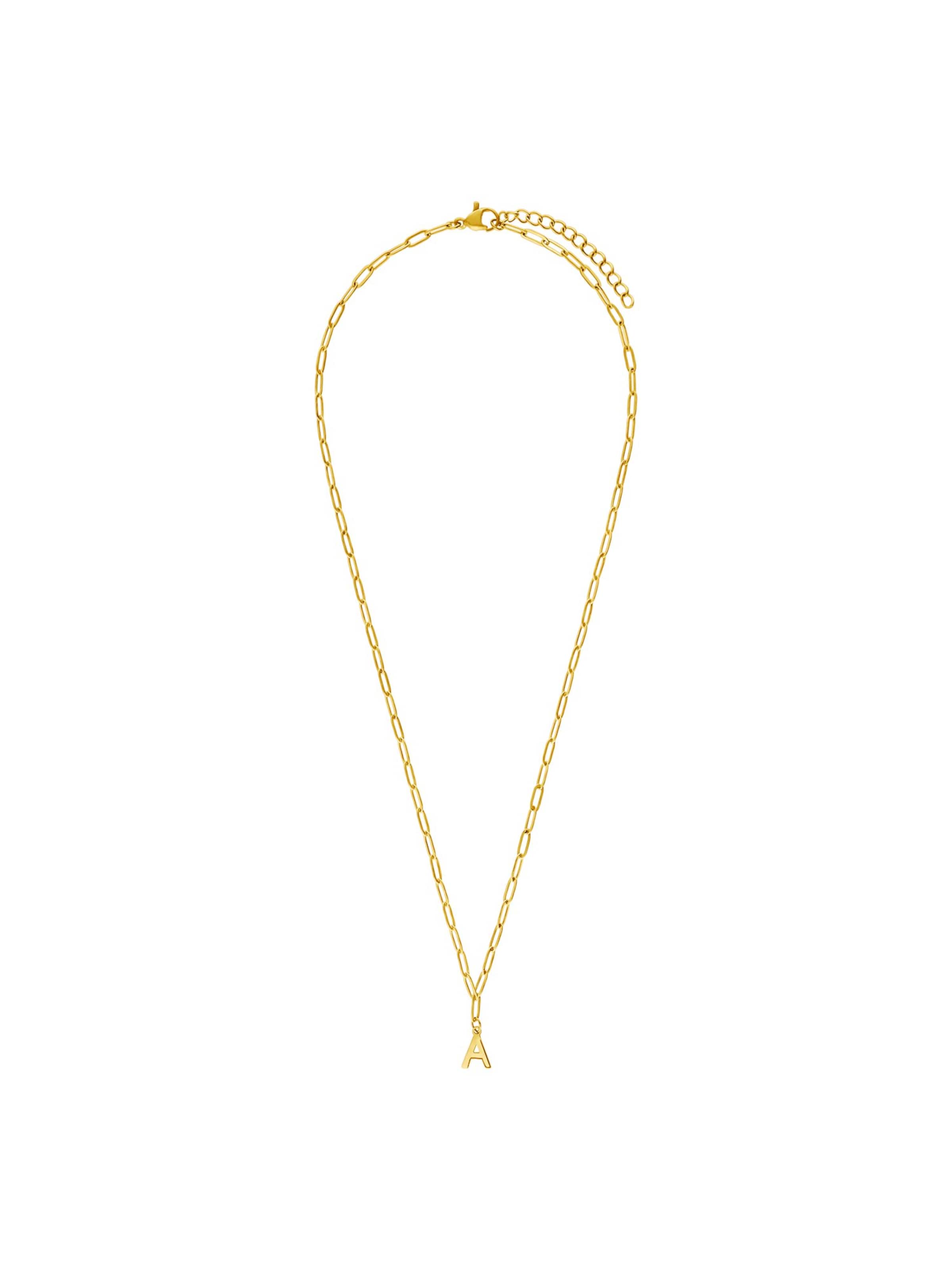 Lucardi Necklace in Gold: front