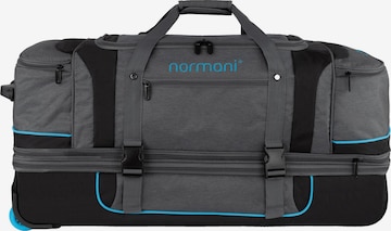 normani Trolley 'Gigaro' in Grau: Vorderseite