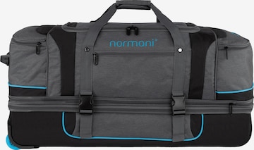 normani Trolley 'Gigaro' in Grau: predná strana