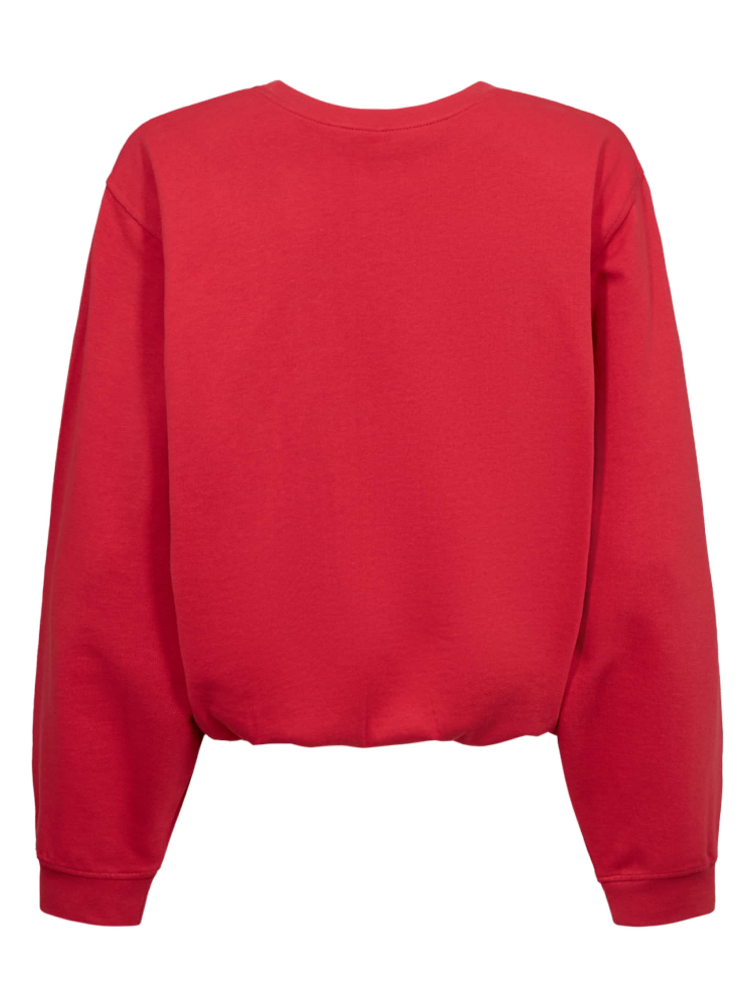 Freequent Sweater 'FreeQuent Saida True red' in Red