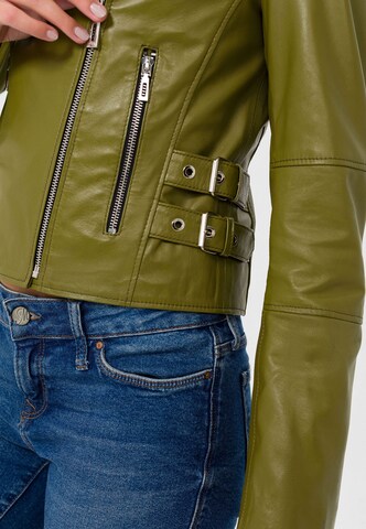 Veste mi-saison Jimmy Sanders en vert