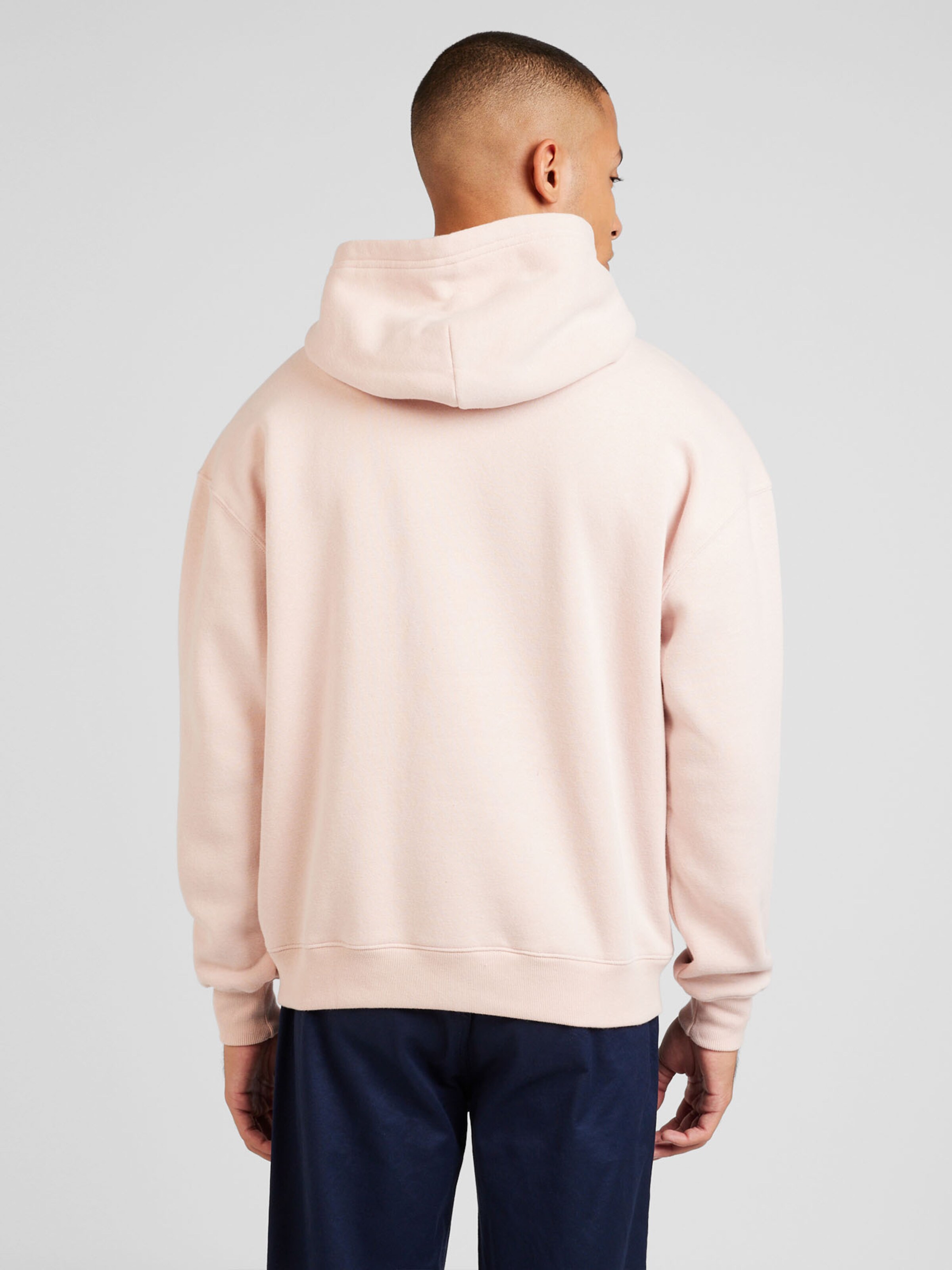 HOLLISTER Sweatshirt in Powder ABOUT YOU