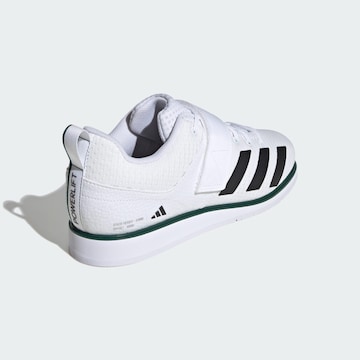 Chaussure de sport 'Powerlift 5' ADIDAS PERFORMANCE en blanc
