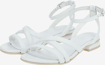 Nero Giardini Strap Sandals in White