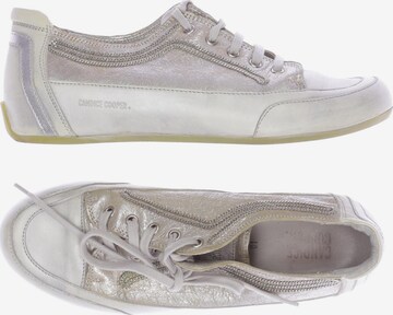 Candice Cooper Sneakers & Trainers in 39 in White: front