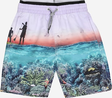 Shorts de bain 'Neal' Molo en mélange de couleurs : devant