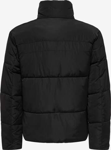Only & Sons Winter Jacket 'Everett' in Black