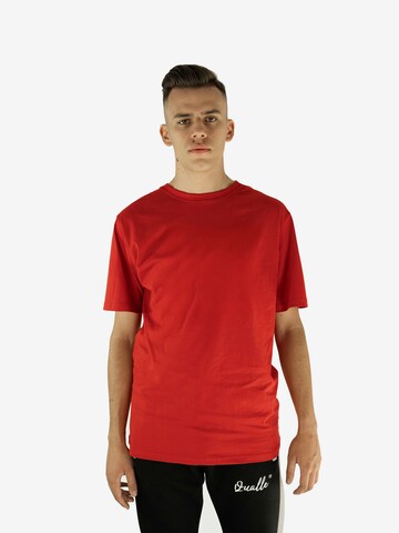 Qualle T-Shirt 'Basic Respekt' in Rot: predná strana