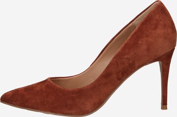 Escarpins 'LILLIE' STEVE MADDEN en marron