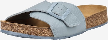 HAFLINGER Pantolette in Blau: Vorderseite