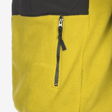 THE NORTH FACE Regular fit Funktionele fleece-jas 'Denali 2' in Geel