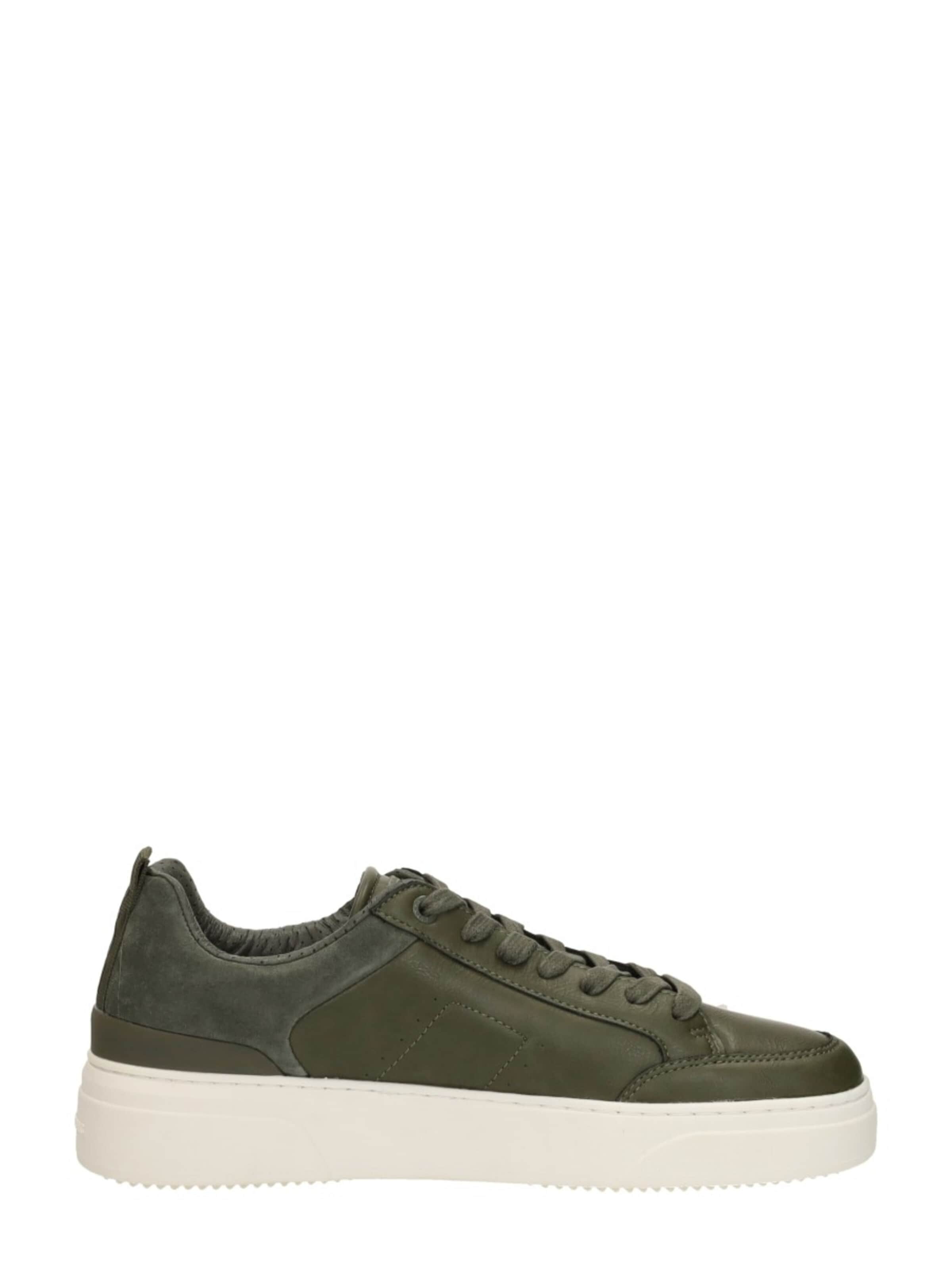 BJÖRN BORG Sneakers laag 'T1930 Tennis Low M' in Groen