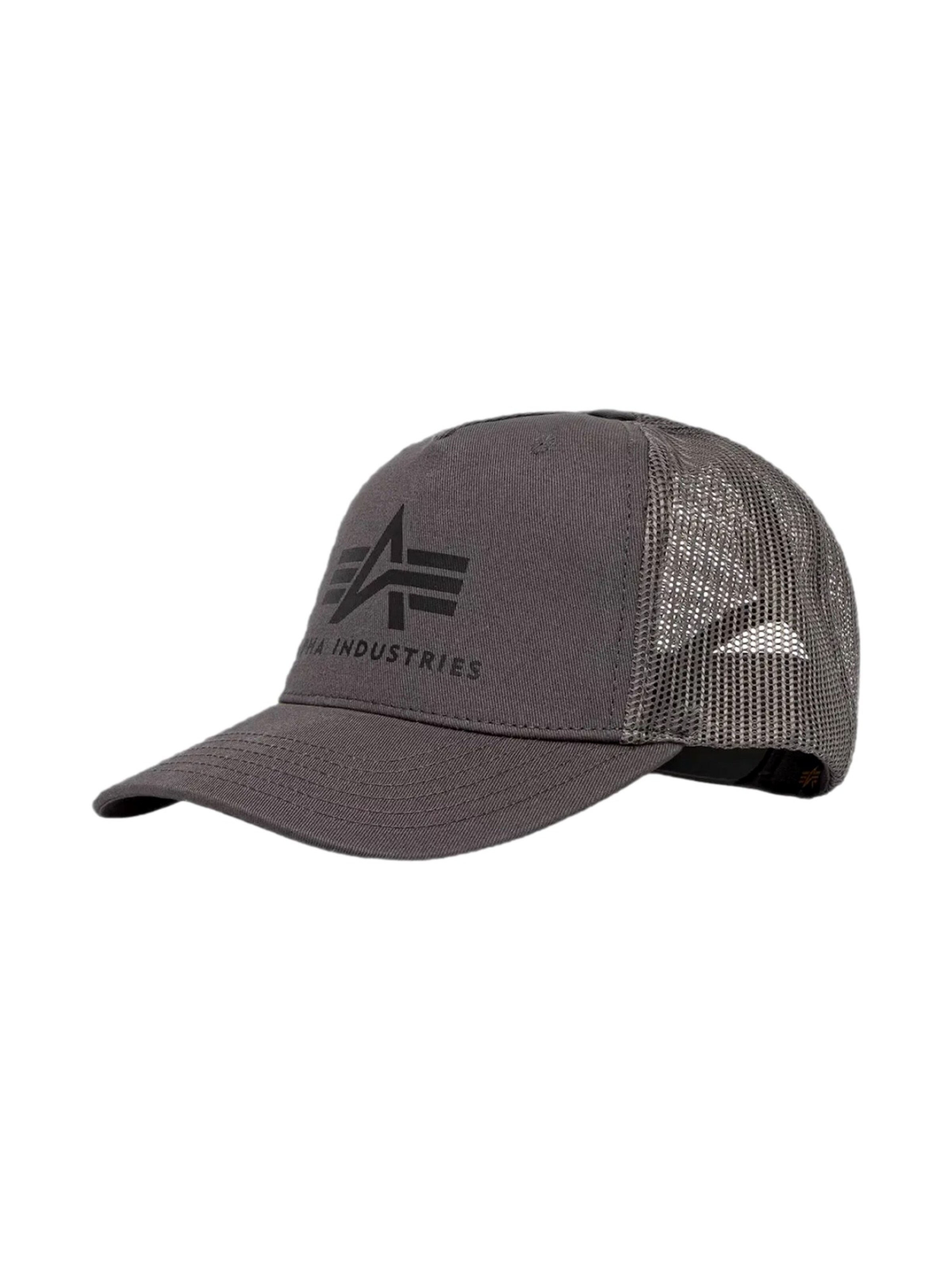 ALPHA INDUSTRIES Cap in Grey: front