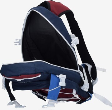 Forvert Backpack 'Ice Louis' in Mixed colors