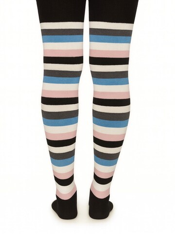 Lycille Over the Knee Socks 'Lycille' in Mixed colors