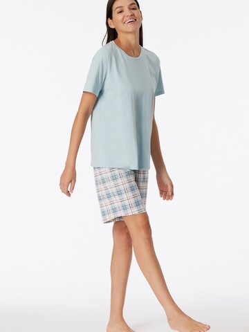 SCHIESSER Short Pajama Set 'Comfort Essentials' in Blue