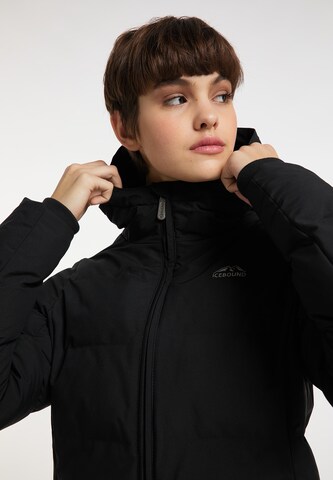 ICEBOUND - Chaqueta de invierno en negro